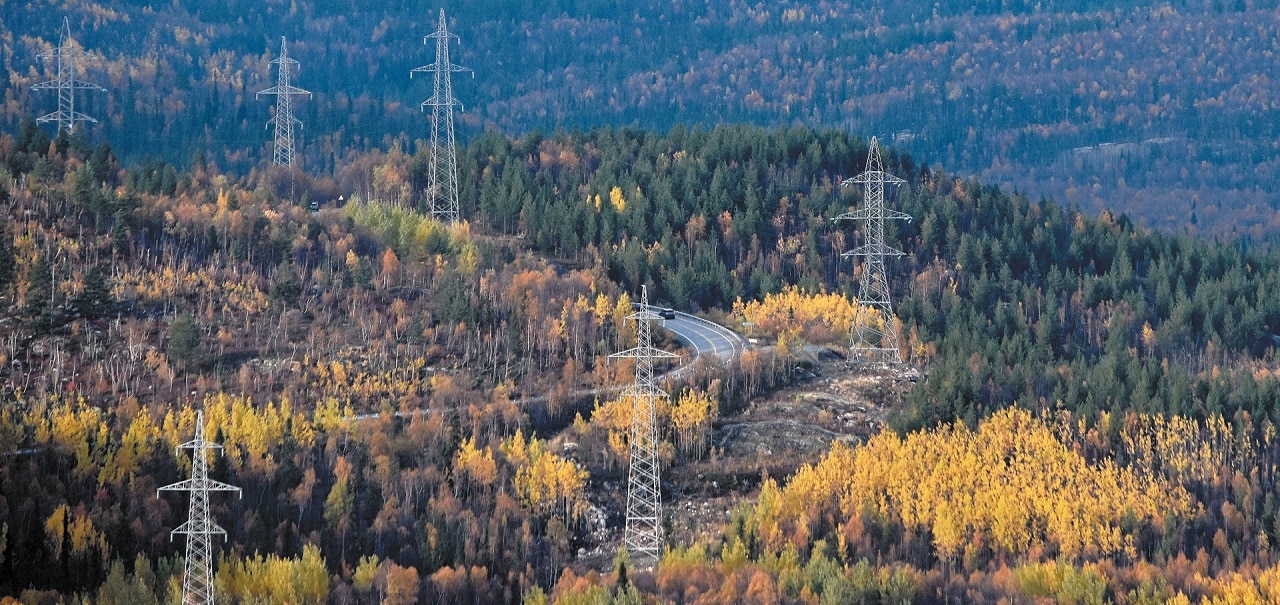 Перспективы развития общества